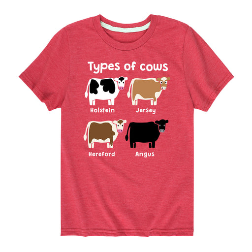 Types of Cows-Youth Short Sleeve T-Shirt